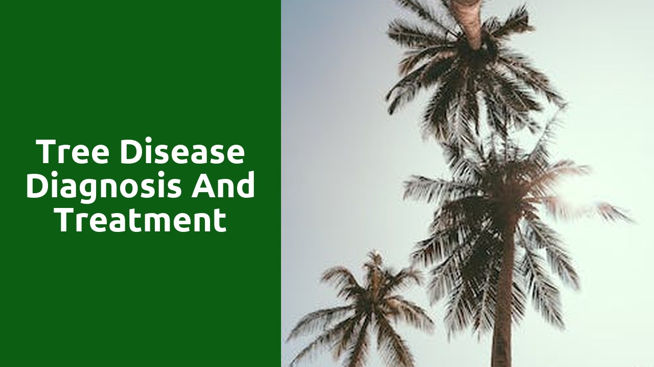 Tree Disease Diagnosis and Treatment