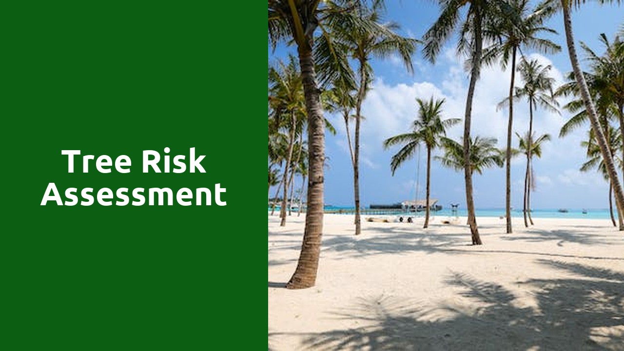 Tree Risk Assessment