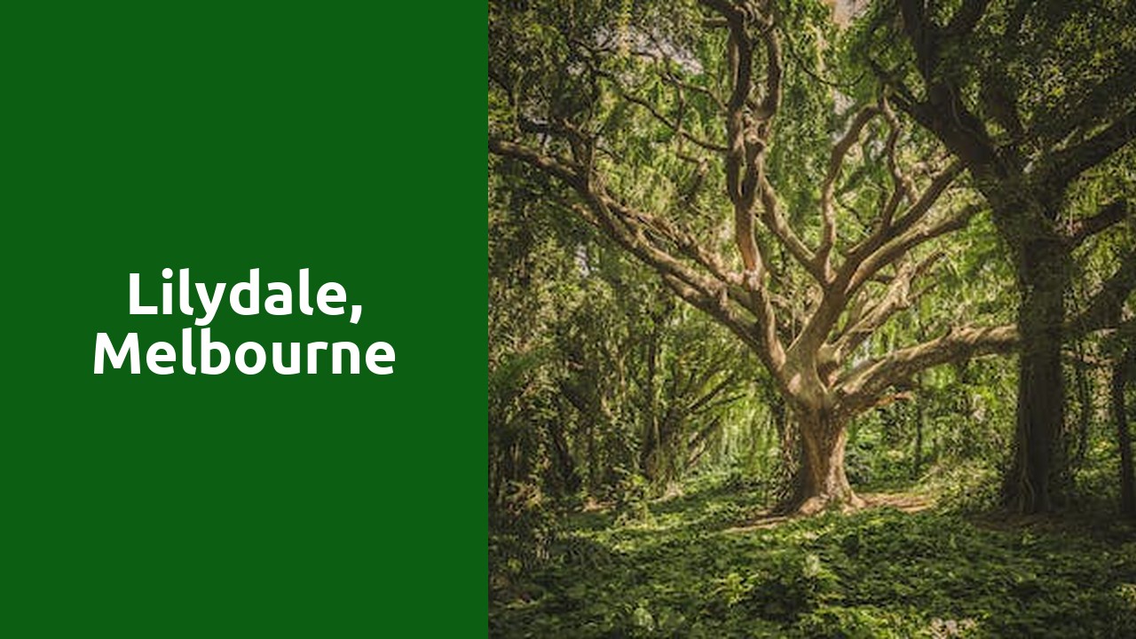 Lilydale, melbourne