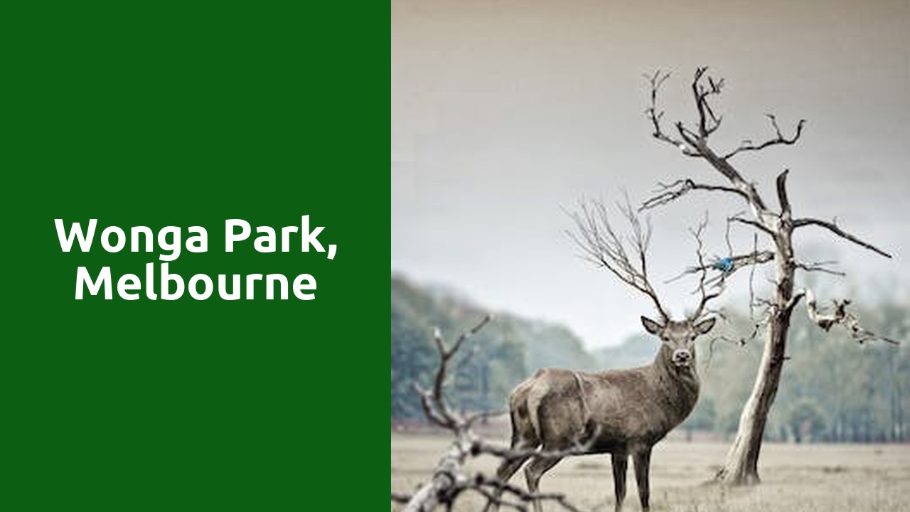 Wonga Park, melbourne