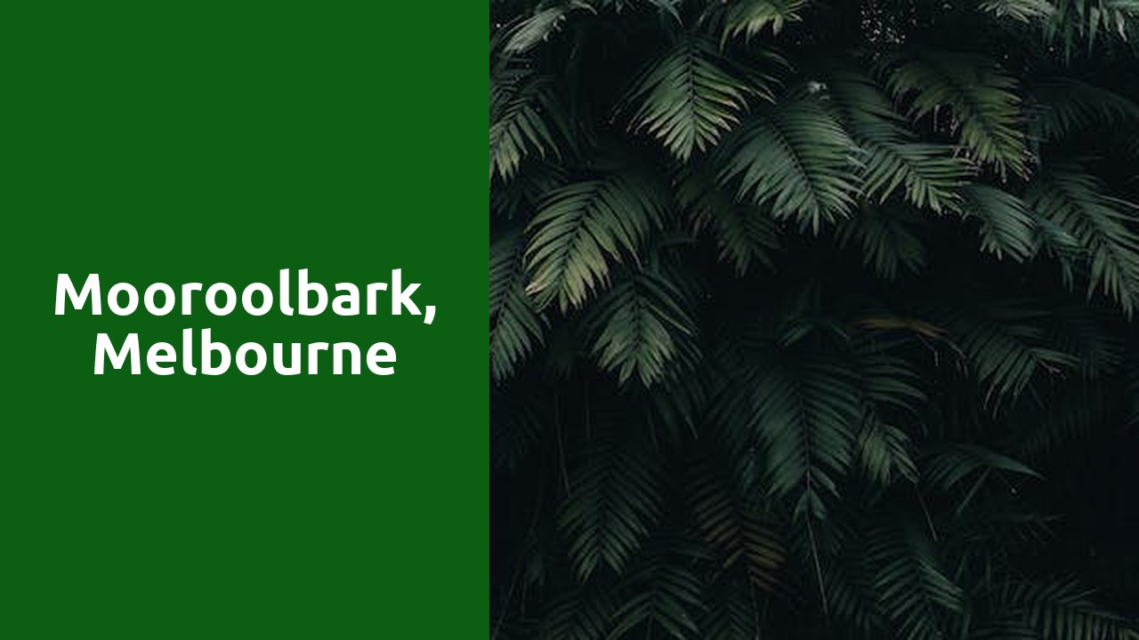 mooroolbark, melbourne